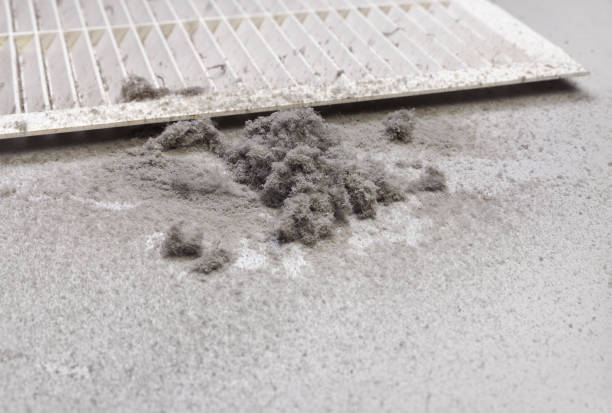 Best HVAC Duct Inspection Services  in Douglasville, GA