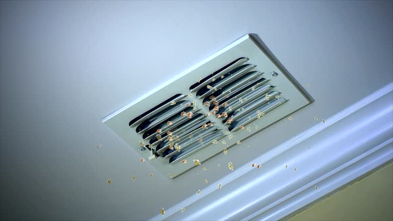 Best Affordable Air Duct Cleaning  in Douglasville, GA